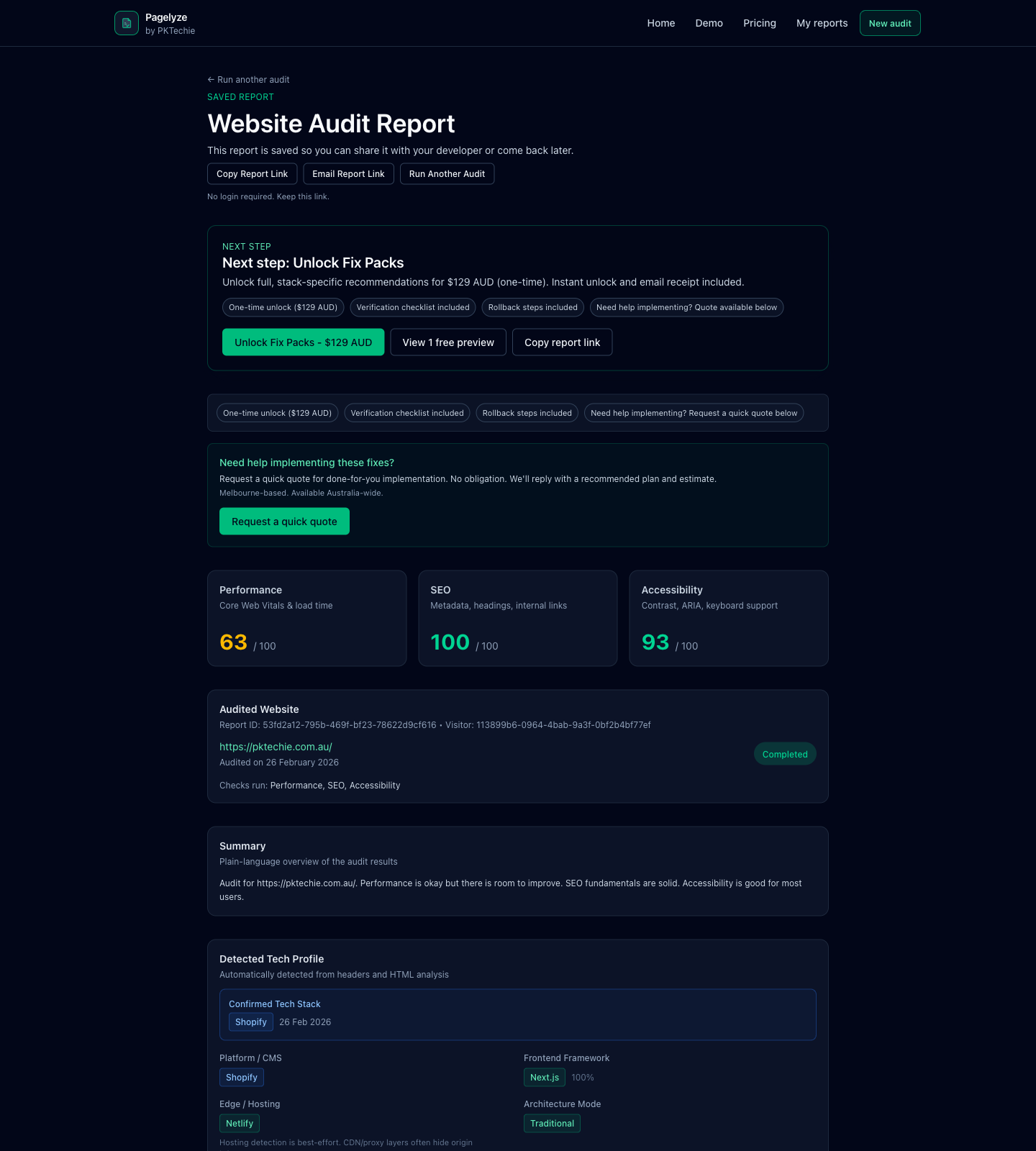Pagelyze website audit showing performance, UX, accessibility, and technical issue checks